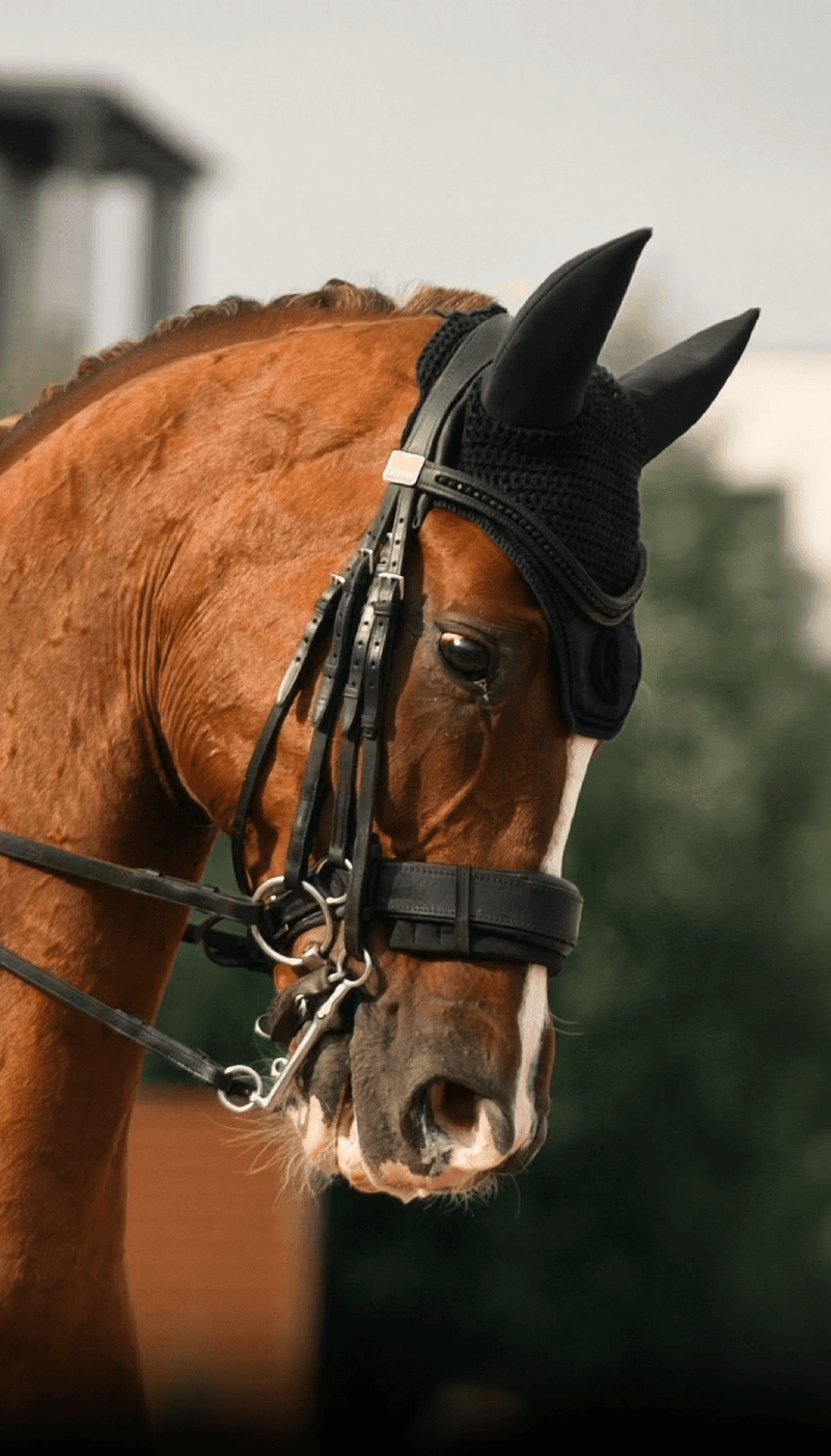 Видеоролик со стартов