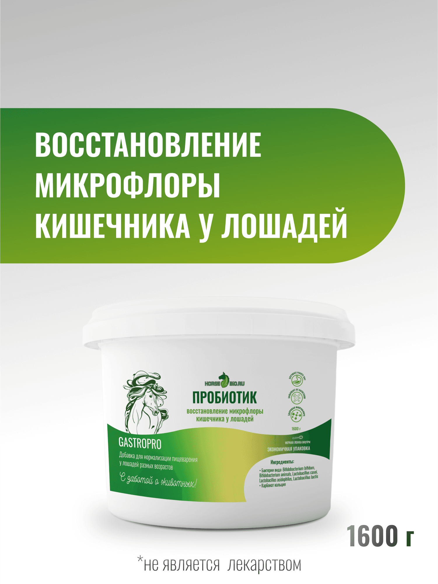 MAXI Пробиотик GastroPro для лошадей, 1600г
