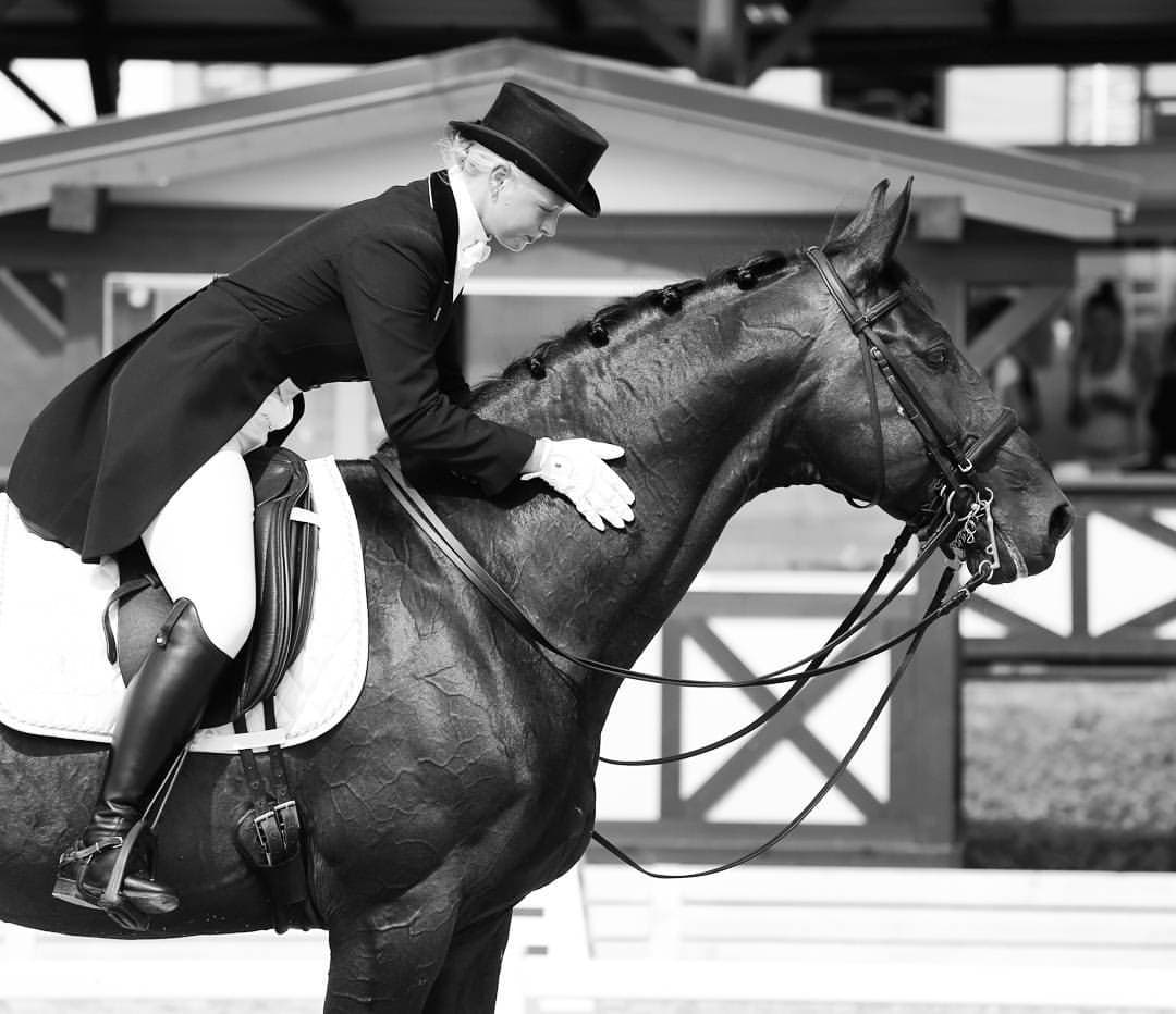 Онлайн-тренер по верховой езде