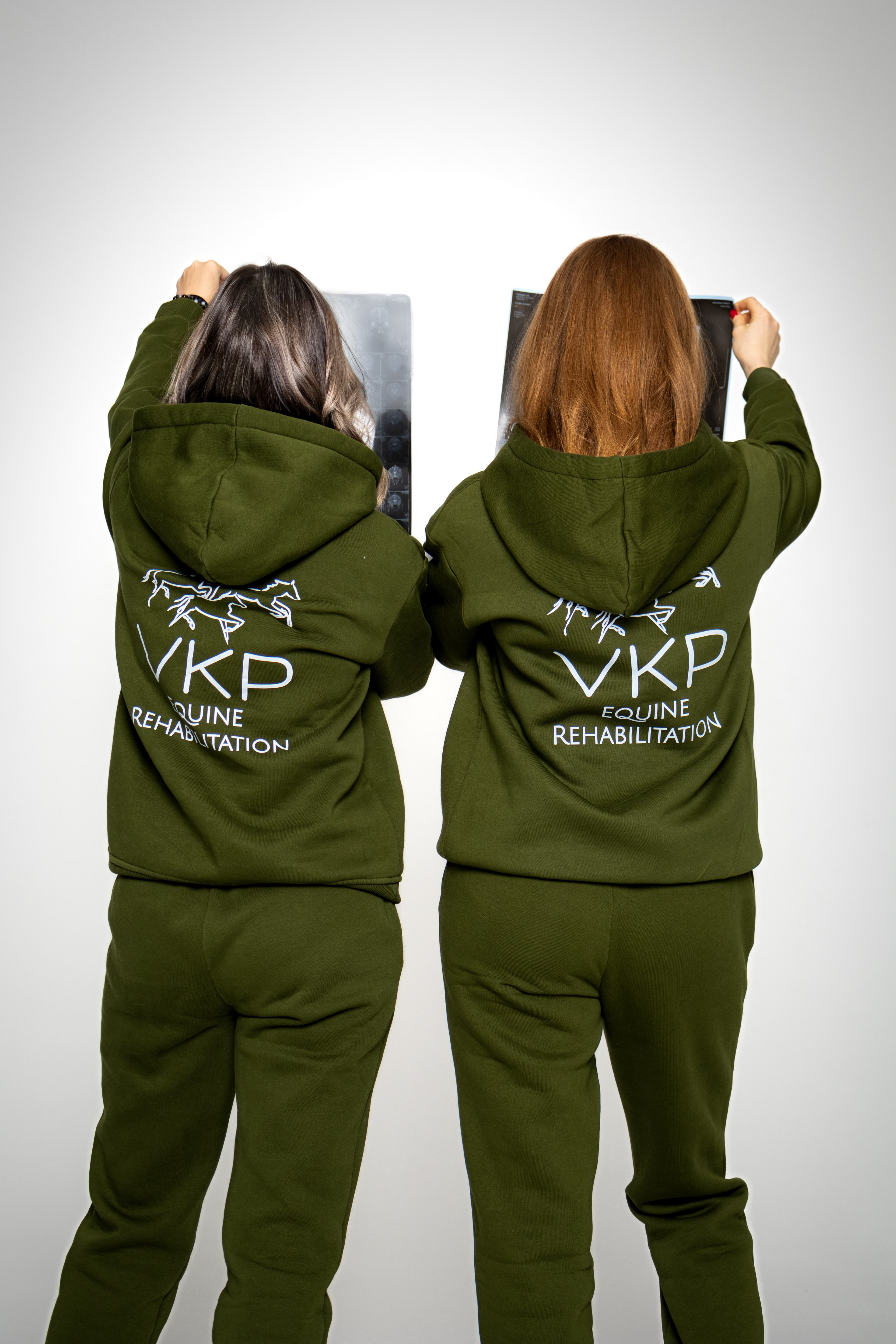 Остеопатия лошадей