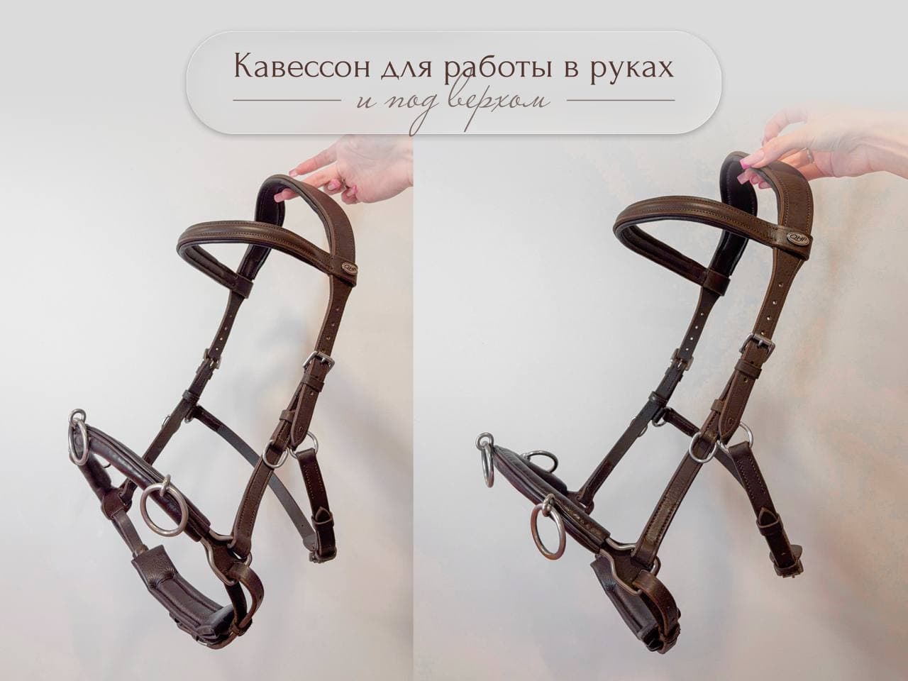 Кожаный кавессон QHP, размер Cob