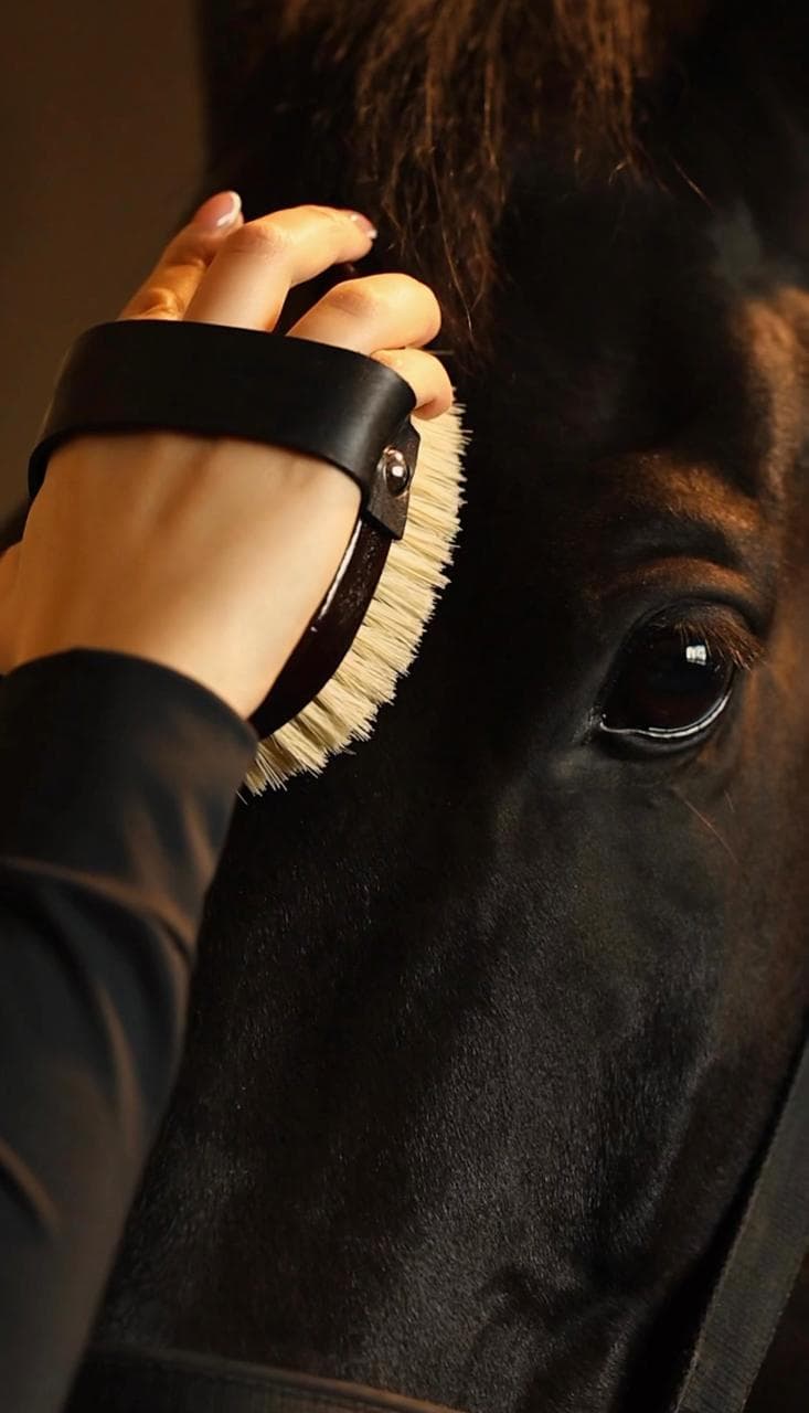 Щетка малая для ухода за лошадью SHEIKH HORSE BRAND