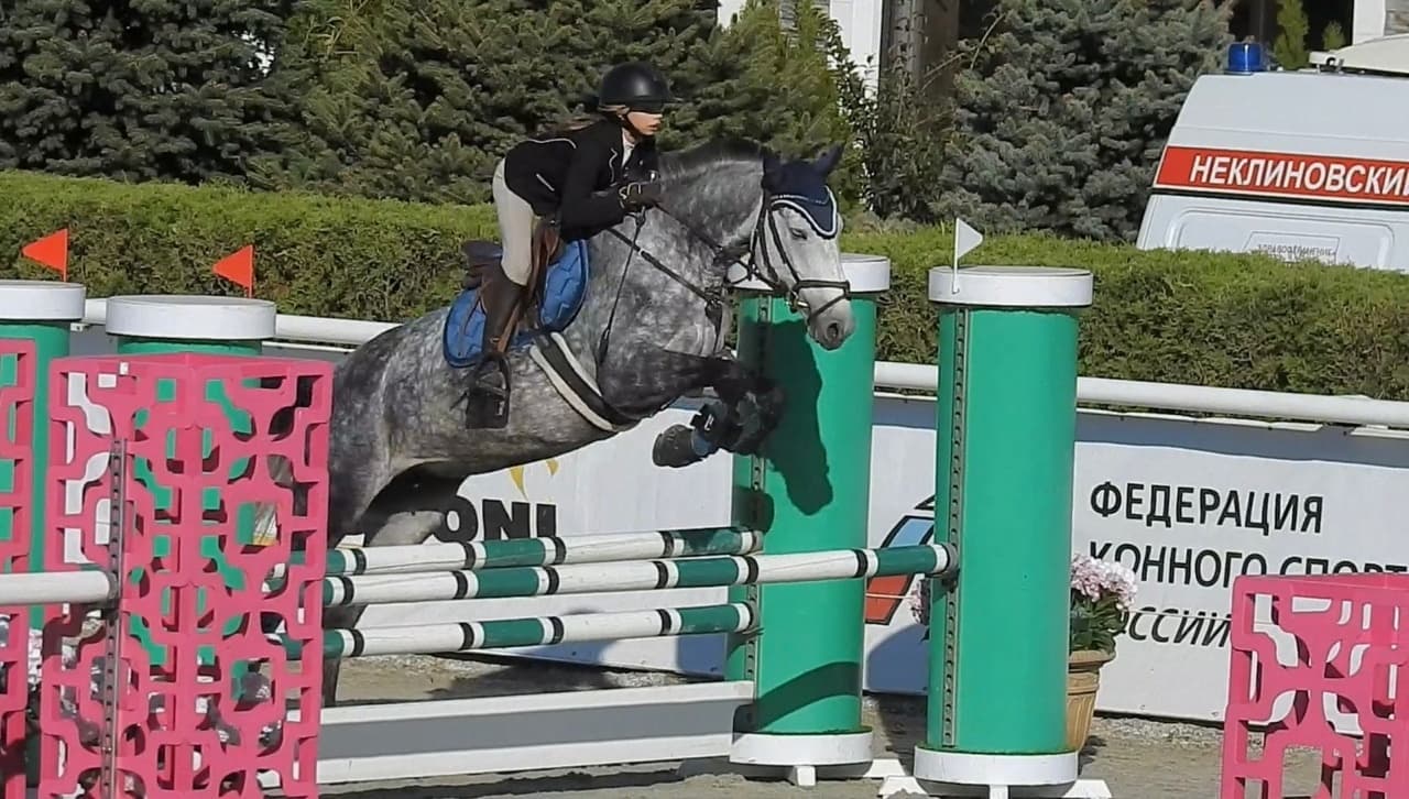 Тренировки по верховой езде